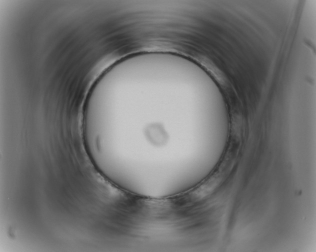X0000096670856200802051221