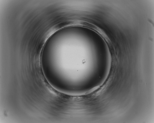 X0000096670858200802051221