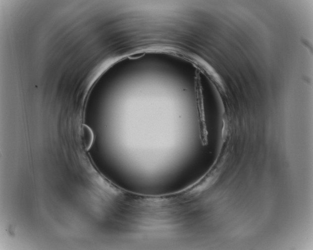 X0000096670860200802051221