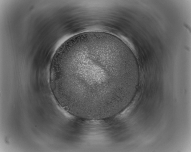 X0000096670862200802051221
