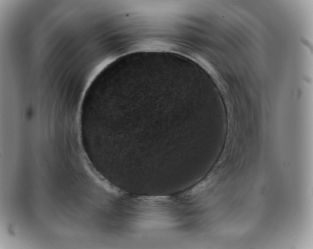 X0000096670864200802051221