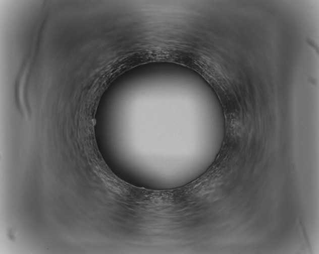 X0000096670865200802051220