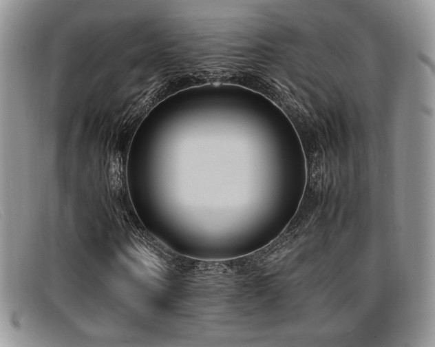 X0000096670866200802051220