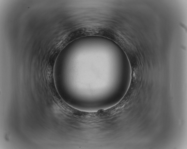 X0000096670867200802051220