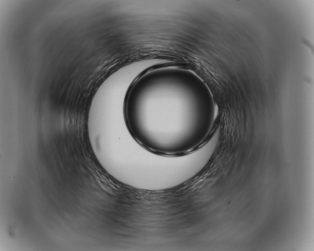 X0000096670868200802051220
