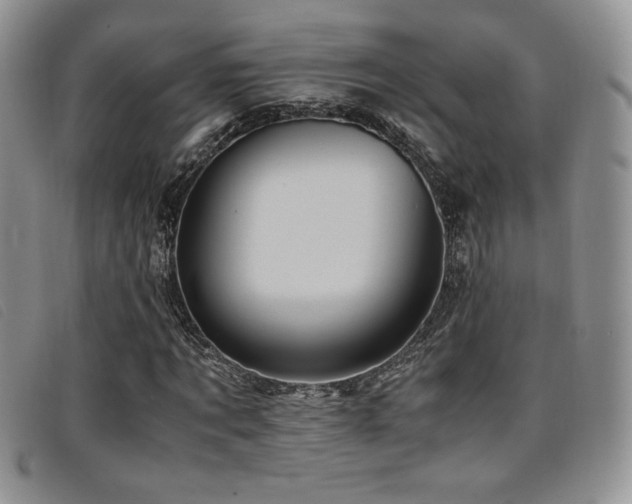 X0000096670869200802051220