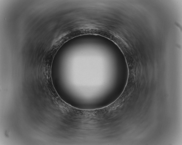 X0000096670870200802051220