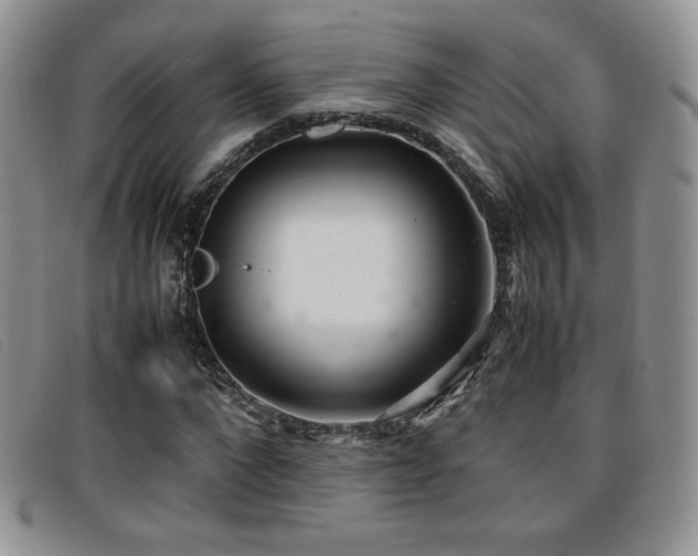 X0000096670872200802051220