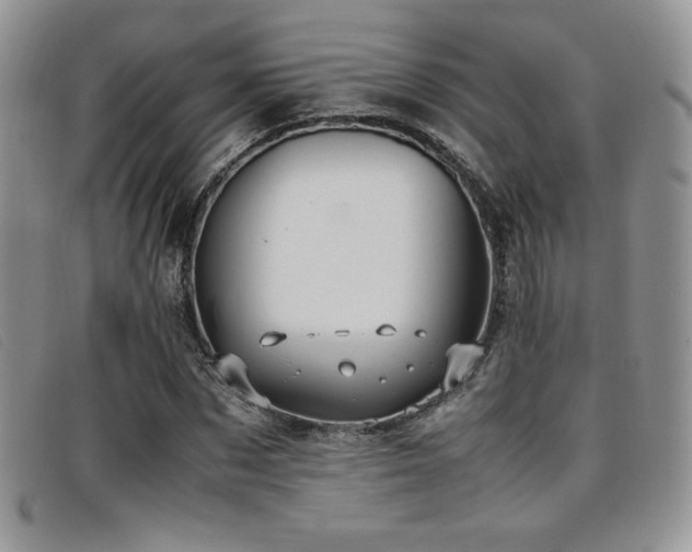 X0000096670873200802051220