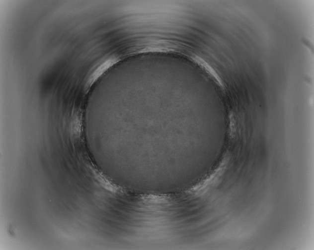 X0000096670874200802051220