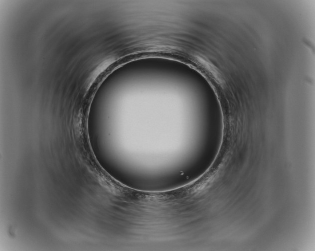 X0000096670875200802051220