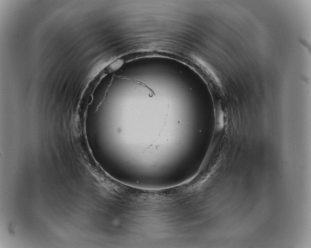 X0000096670876200802051220
