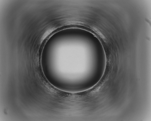 X0000096670877200802051220
