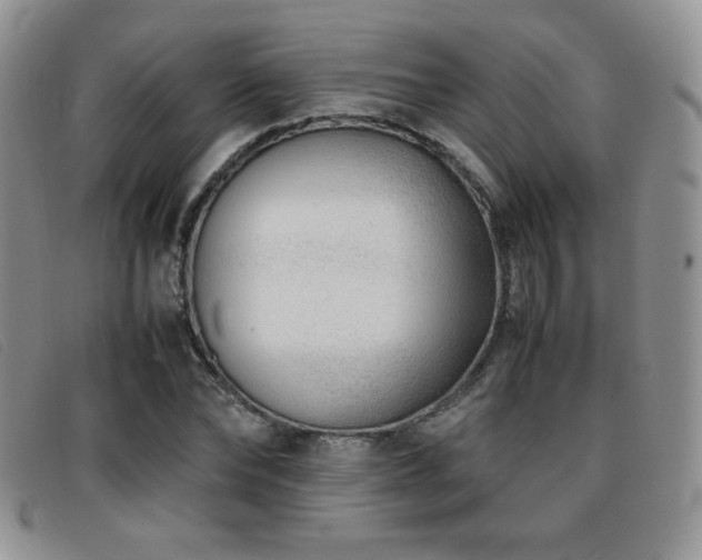 X0000096670878200802051220