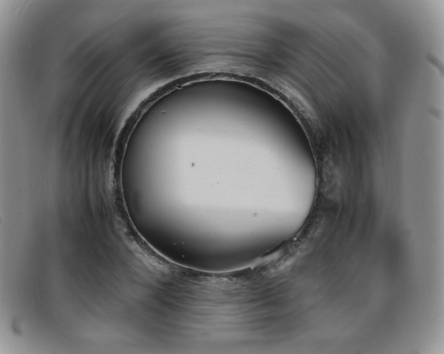 X0000096670880200802051220