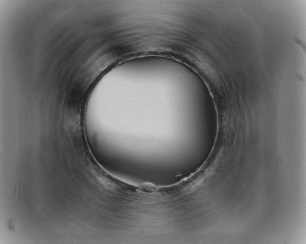 X0000096670881200802051220