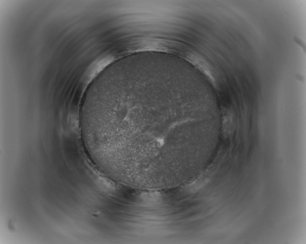 X0000096670882200802051220