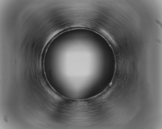 X0000096670884200802051220