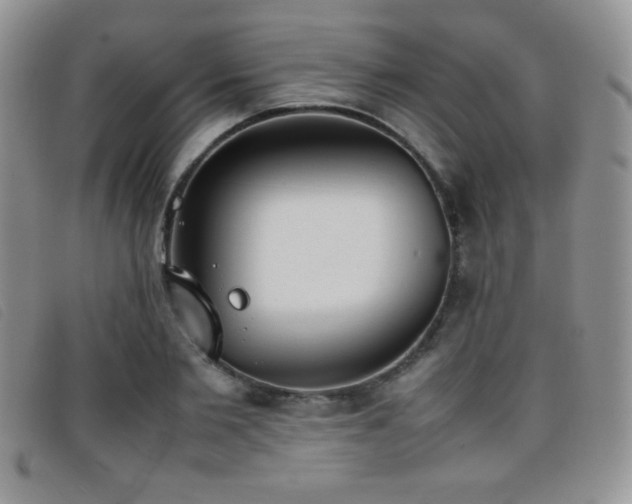X0000096670885200802051220