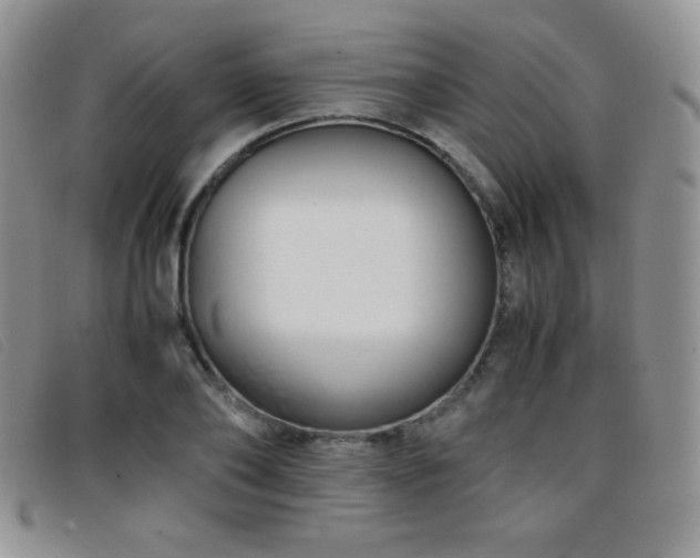 X0000096670886200802051220