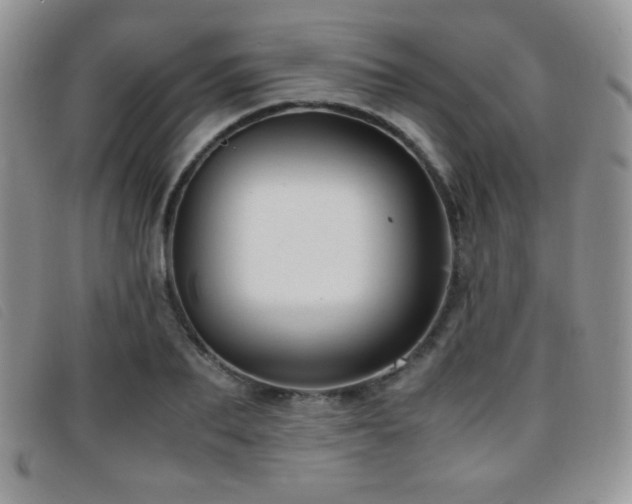 X0000096670887200802051220