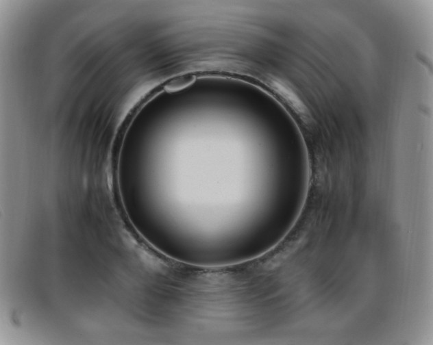 X0000096670888200802051220