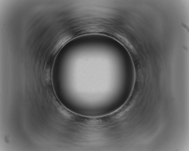 X0000096670889200802051220