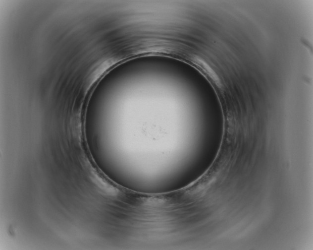 X0000096670890200802051220