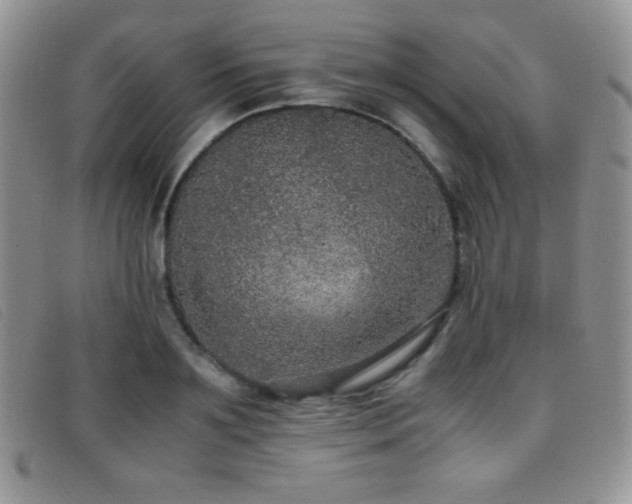 X0000096670891200802051220