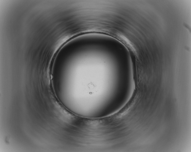 X0000096670892200802051220