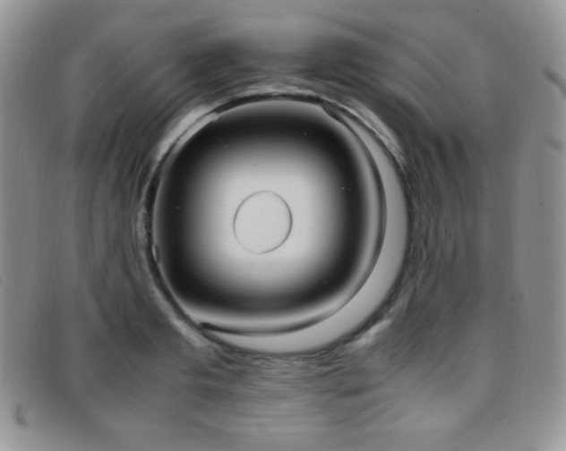 X0000096670893200802051220