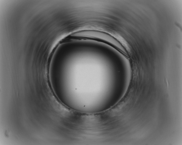X0000096670896200802051220