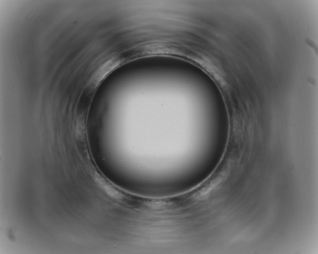 X0000096670897200802051220