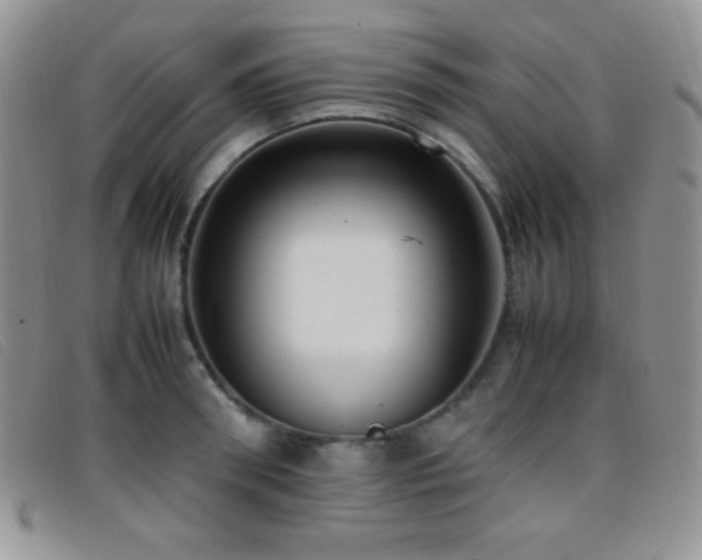 X0000096670898200802051220