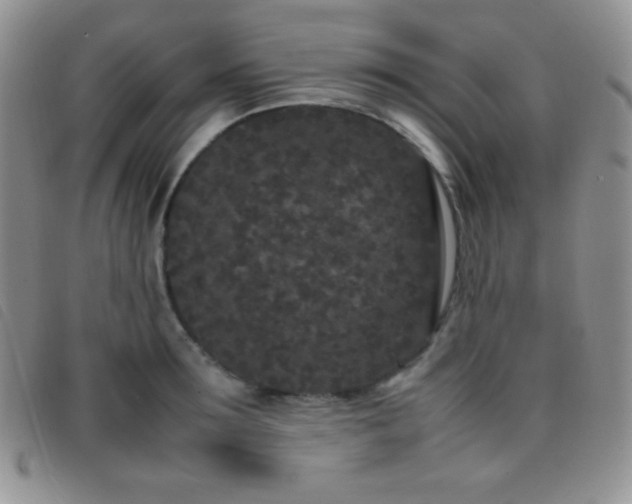 X0000096670899200802051219