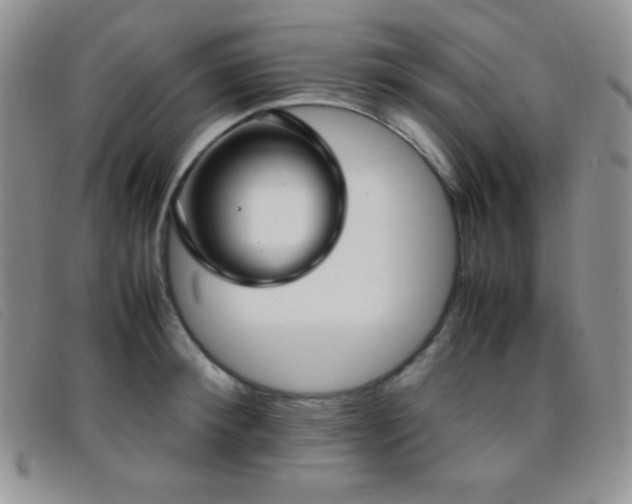 X0000096670900200802051219