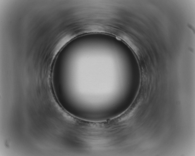 X0000096670901200802051219