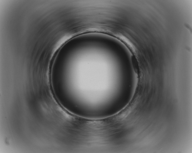 X0000096670902200802051219