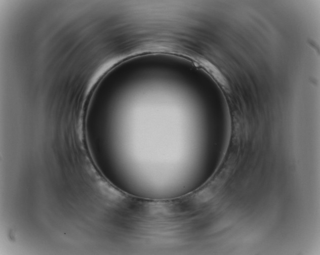 X0000096670904200802051219