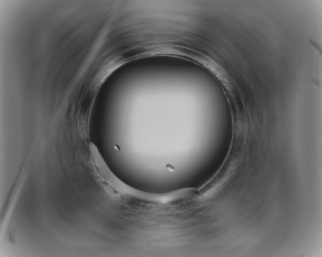 X0000096670905200802051219