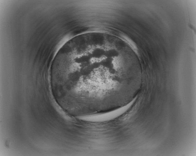 X0000096670907200802051219