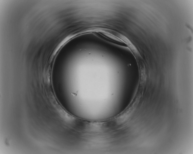X0000096670908200802051219