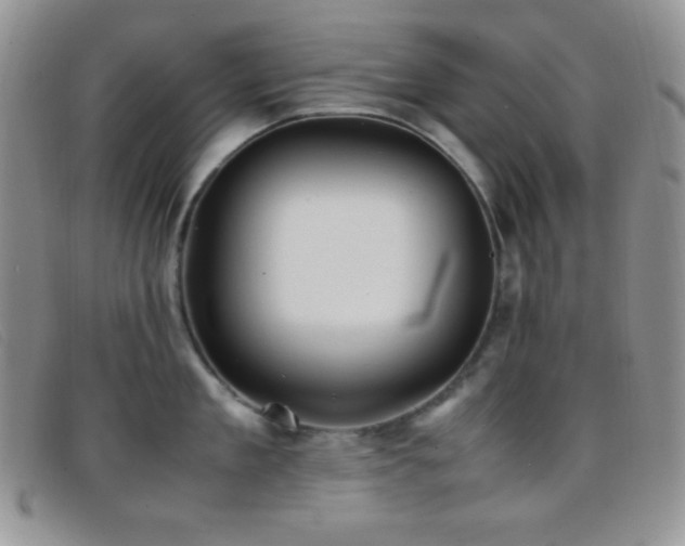 X0000096670909200802051219