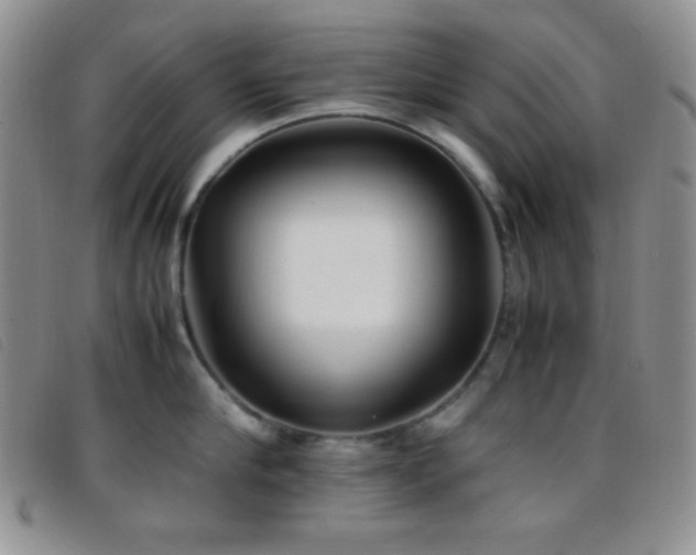 X0000096670910200802051219