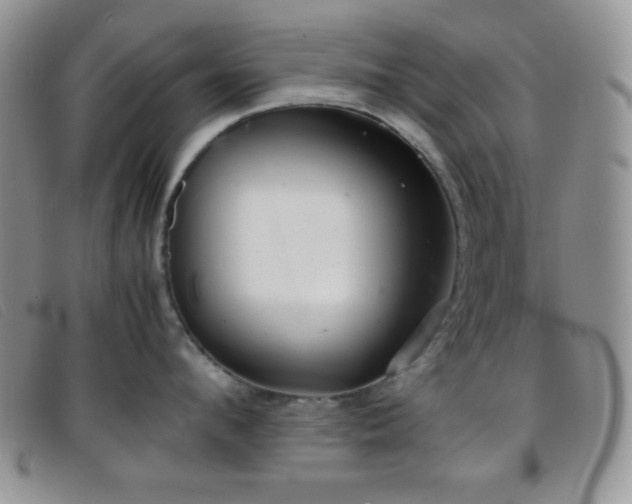 X0000096670912200802051219