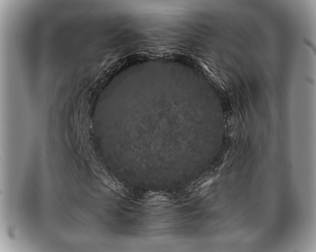 X0000096670913200802051219