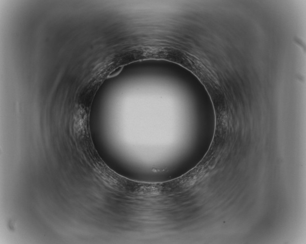 X0000096670914200802051219