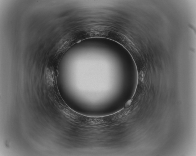 X0000096670915200802051219
