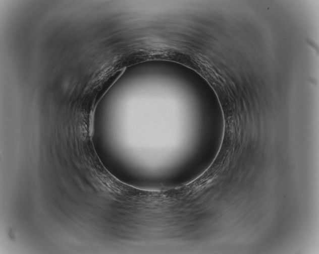 X0000096670916200802051219