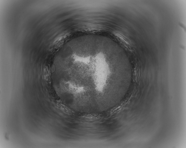 X0000096670917200802051219